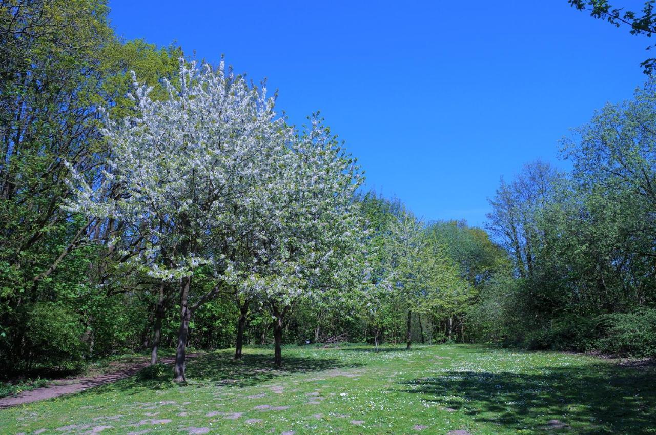 ジールクスドルフPanoramic App A09-5アパートメント エクステリア 写真